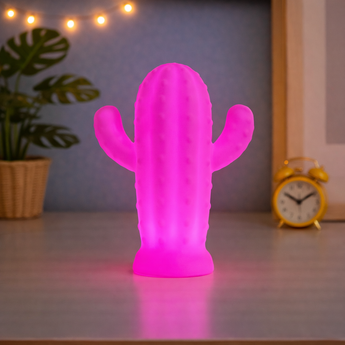 Veilleuse cactus | ROMANE-Veilleuse & Co