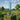 Veilleuse Epee Minecraft | ULRICH
