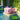 Veilleuse Axolotl Minecraft | MARCO - veilleuse