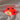 Veilleuse coccinelle | MIA-Veilleuse &amp; Co