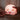 Veilleuse cochon | ALBAN-Veilleuse &amp; Co