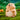Veilleuse Marmotte | FABIEN - Veilleuse animaux